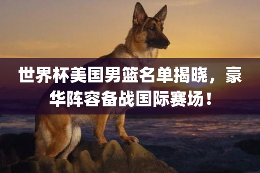 世界杯美国男篮名单揭晓，豪华阵容备战国际赛场！