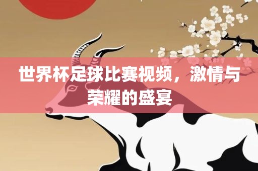 世界杯足球比赛视频，激情与荣耀的盛宴