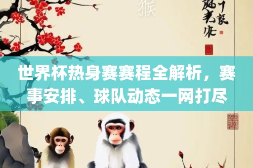 世界杯热身赛赛程全解析，赛事安排、球队动态一网打尽
