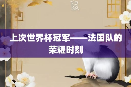 上次世界杯冠军——法国队的荣耀时刻
