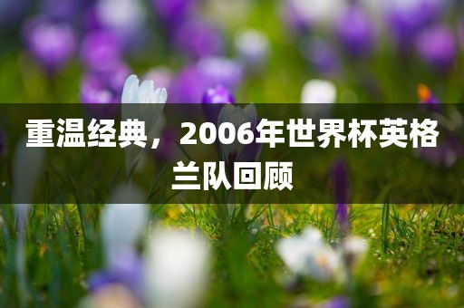 重温经典，2006年世界杯英格兰队回顾