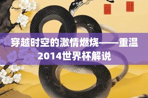 穿越时空的激情燃烧——重温2014世界杯解说