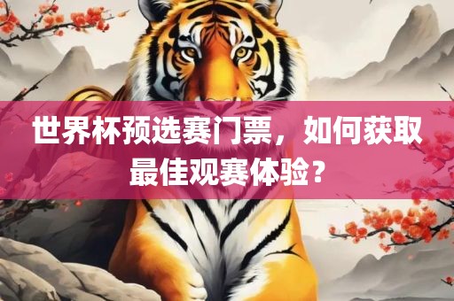 世界杯预选赛门票，如何获取最佳观赛体验？