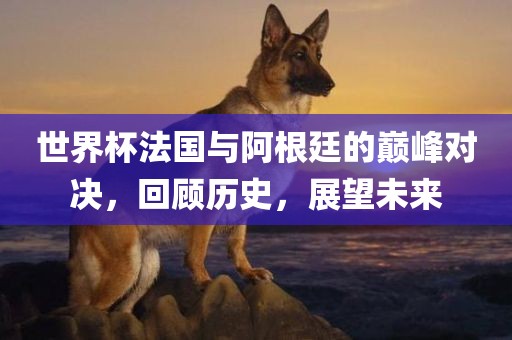 世界杯法国与阿根廷的巅峰对决，回顾历史，展望未来