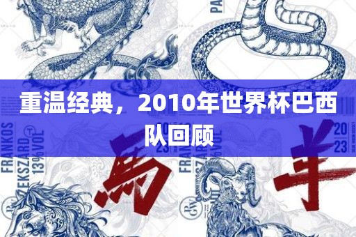 重温经典，2010年世界杯巴西队回顾