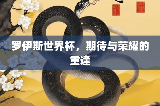 罗伊斯世界杯，期待与荣耀的重逢
