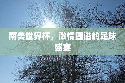 南美世界杯，激情四溢的足球盛宴