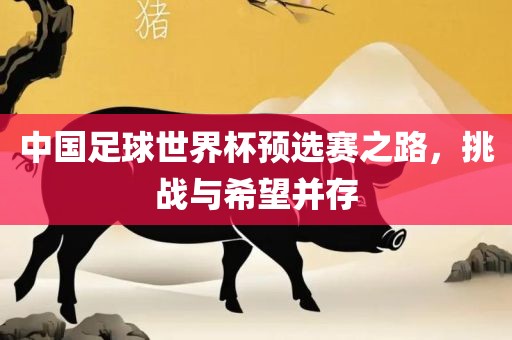 中国足球世界杯预选赛之路，挑战与希望并存