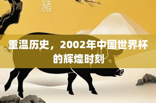 重温历史，2002年中国世界杯的辉煌时刻