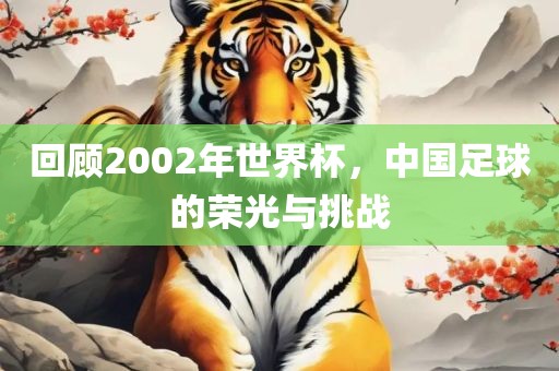 回顾2002年世界杯，中国足球的荣光与挑战