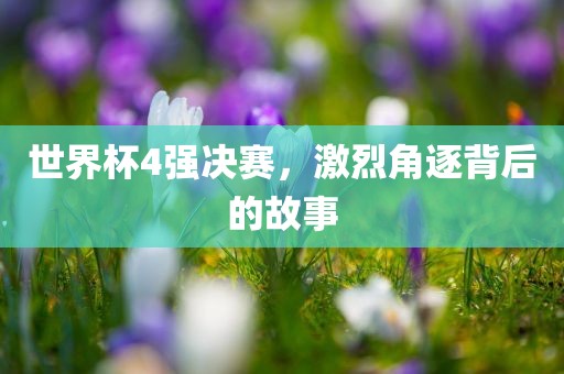 世界杯4强决赛，激烈角逐背后的故事