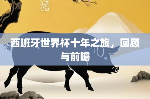 西班牙世界杯十年之旅，回顾与前瞻