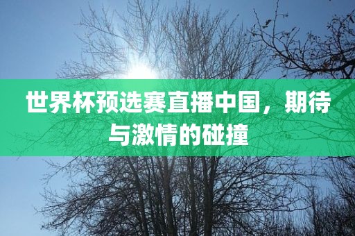 世界杯预选赛直播中国，期待与激情的碰撞