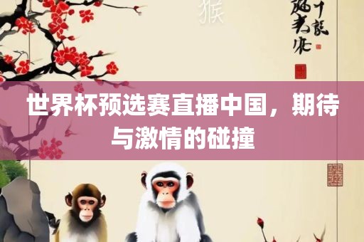 世界杯预选赛直播中国，期待与激情的碰撞