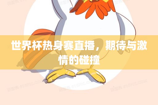 世界杯热身赛直播，期待与激情的碰撞