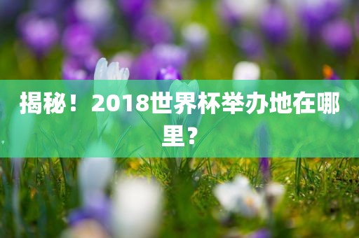 揭秘！2018世界杯举办地在哪里？