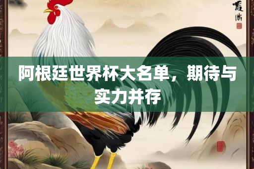 阿根廷世界杯大名单，期待与实力并存
