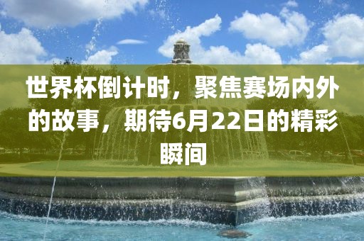 世界杯倒计时，聚焦赛场内外的故事，期待6月22日的精彩瞬间