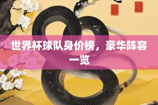 世界杯球队身价榜，豪华阵容一览