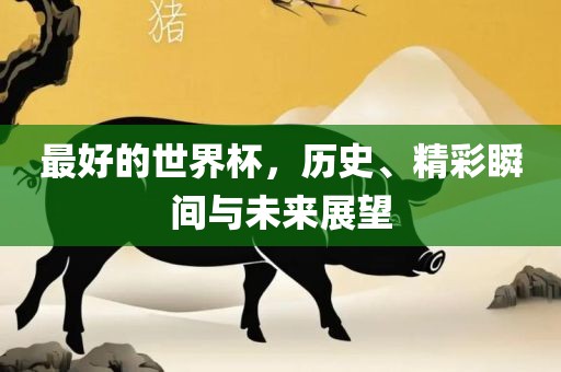 最好的世界杯，历史、精彩瞬间与未来展望