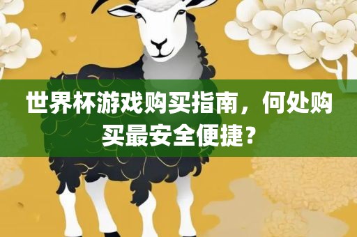 世界杯游戏购买指南，何处购买最安全便捷？