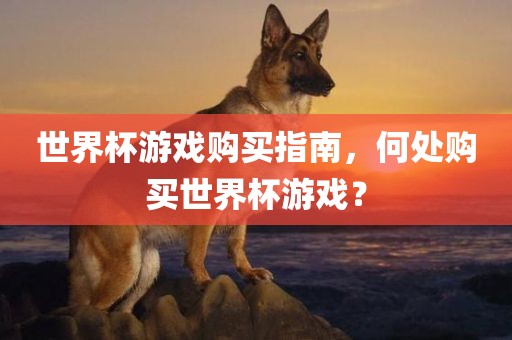 世界杯游戏购买指南，何处购买世界杯游戏？
