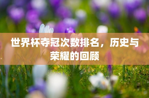世界杯夺冠次数排名，历史与荣耀的回顾