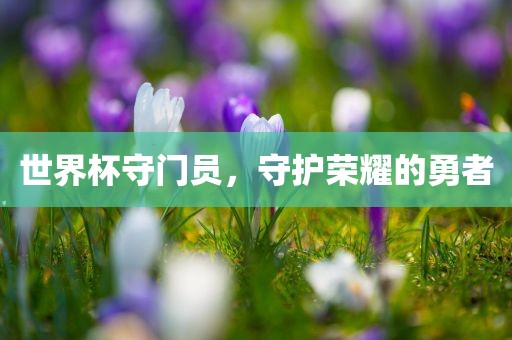 世界杯守门员，守护荣耀的勇者