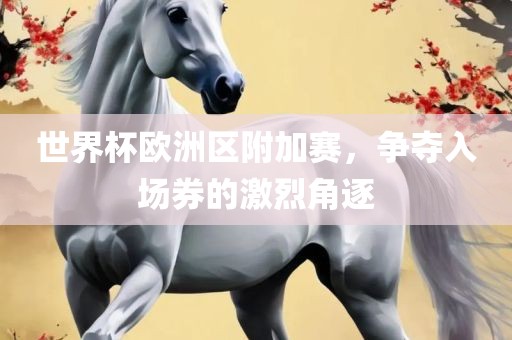 世界杯欧洲区附加赛，争夺入场券的激烈角逐