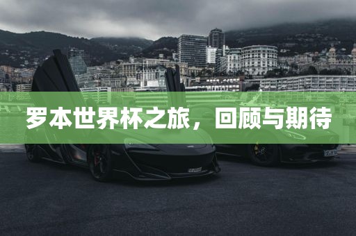 罗本世界杯之旅，回顾与期待