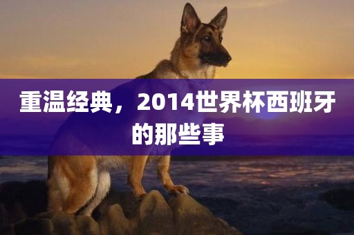 重温经典，2014世界杯西班牙的那些事