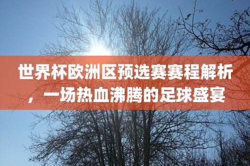 世界杯欧洲区预选赛赛程解析，一场热血沸腾的足球盛宴