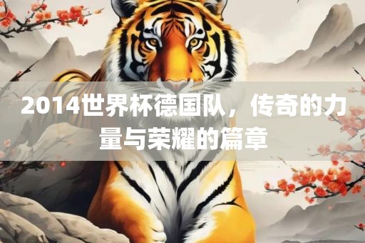 2014世界杯德国队，传奇的力量与荣耀的篇章