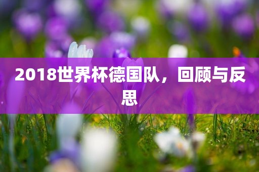 2018世界杯德国队，回顾与反思