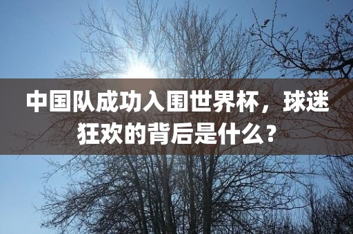 中国队成功入围世界杯，球迷狂欢的背后是什么？