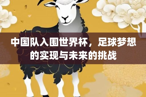 中国队入围世界杯，足球梦想的实现与未来的挑战