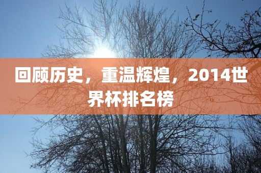 回顾历史，重温辉煌，2014世界杯排名榜