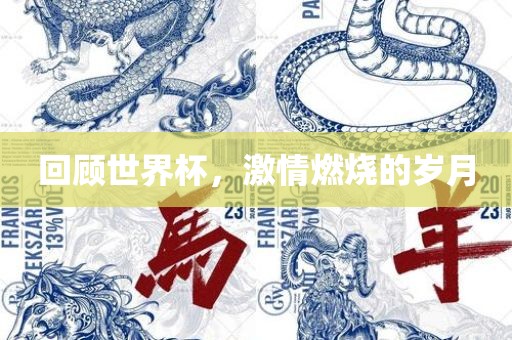 回顾世界杯，激情燃烧的岁月