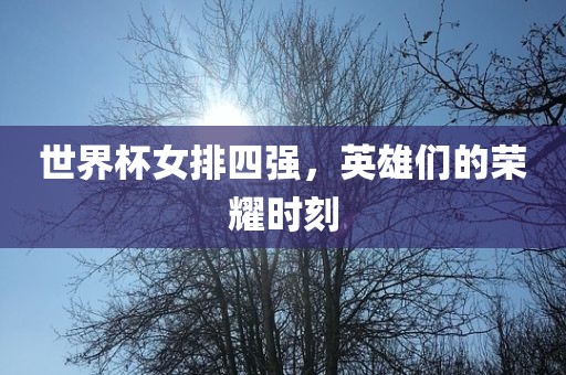 世界杯女排四强，英雄们的荣耀时刻