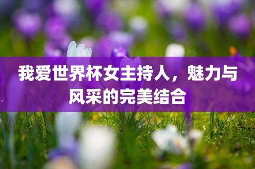 我爱世界杯女主持人，魅力与风采的完美结合