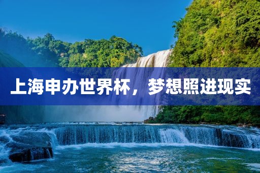 上海申办世界杯，梦想照进现实