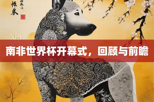 南非世界杯开幕式，回顾与前瞻