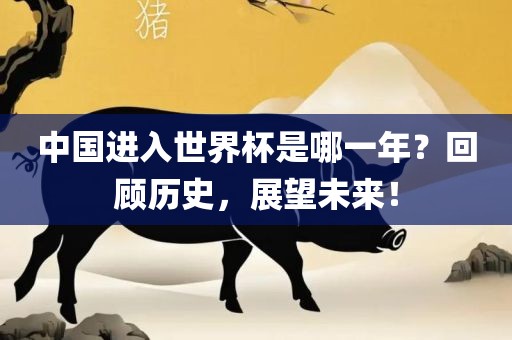 中国进入世界杯是哪一年？回顾历史，展望未来！