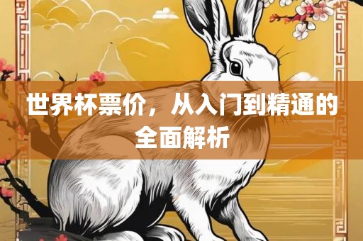 世界杯票价，从入门到精通的全面解析