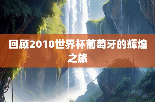 回顾2010世界杯葡萄牙的辉煌之旅