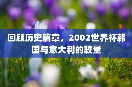 回顾历史篇章，2002世界杯韩国与意大利的较量