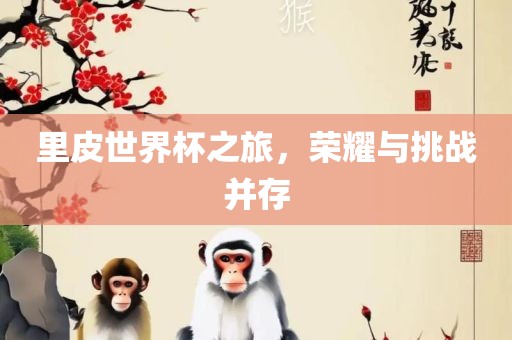 里皮世界杯之旅，荣耀与挑战并存