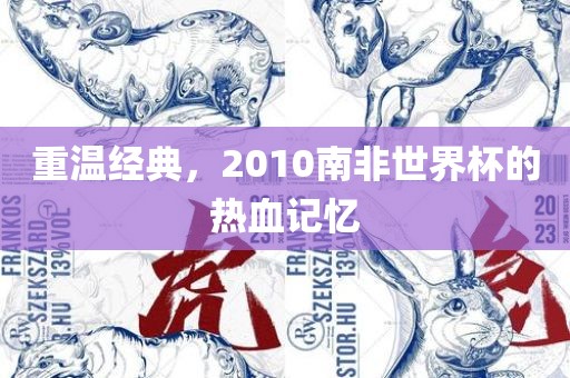 重温经典，2010南非世界杯的热血记忆