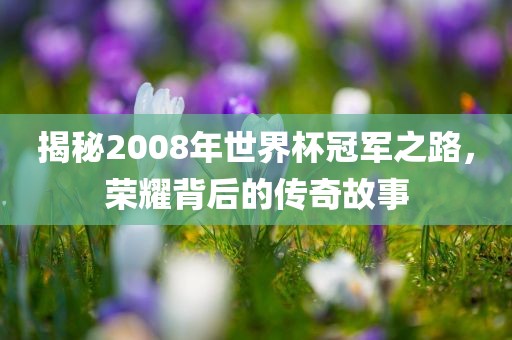 揭秘2008年世界杯冠军之路，荣耀背后的传奇故事