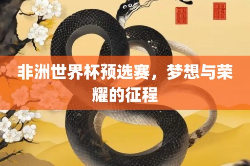 非洲世界杯预选赛，梦想与荣耀的征程